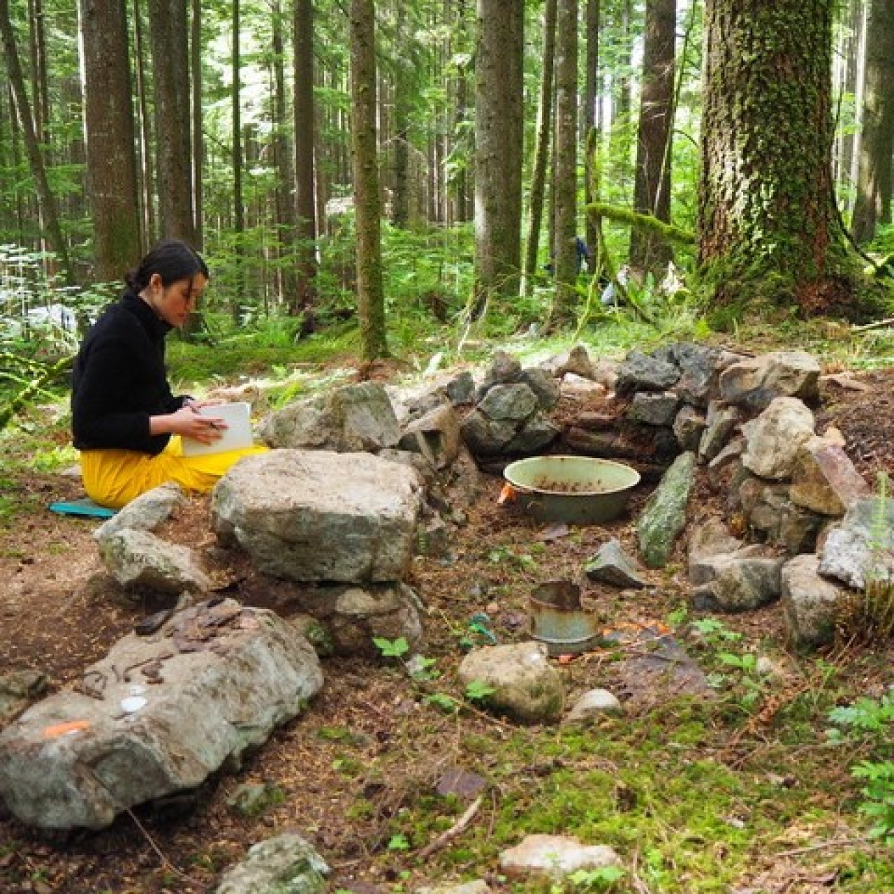 Lynn Valley Life