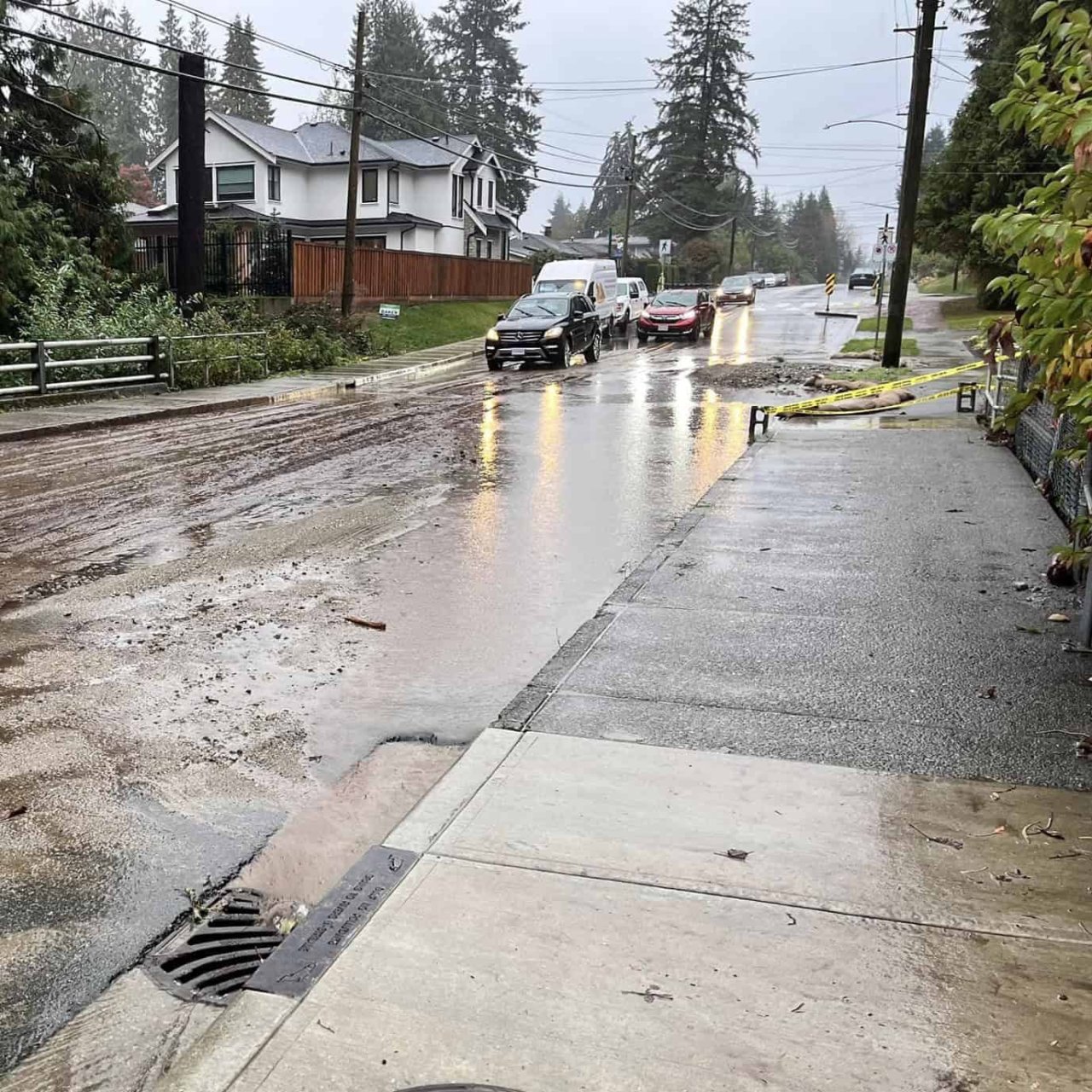 Lynn Valley Life