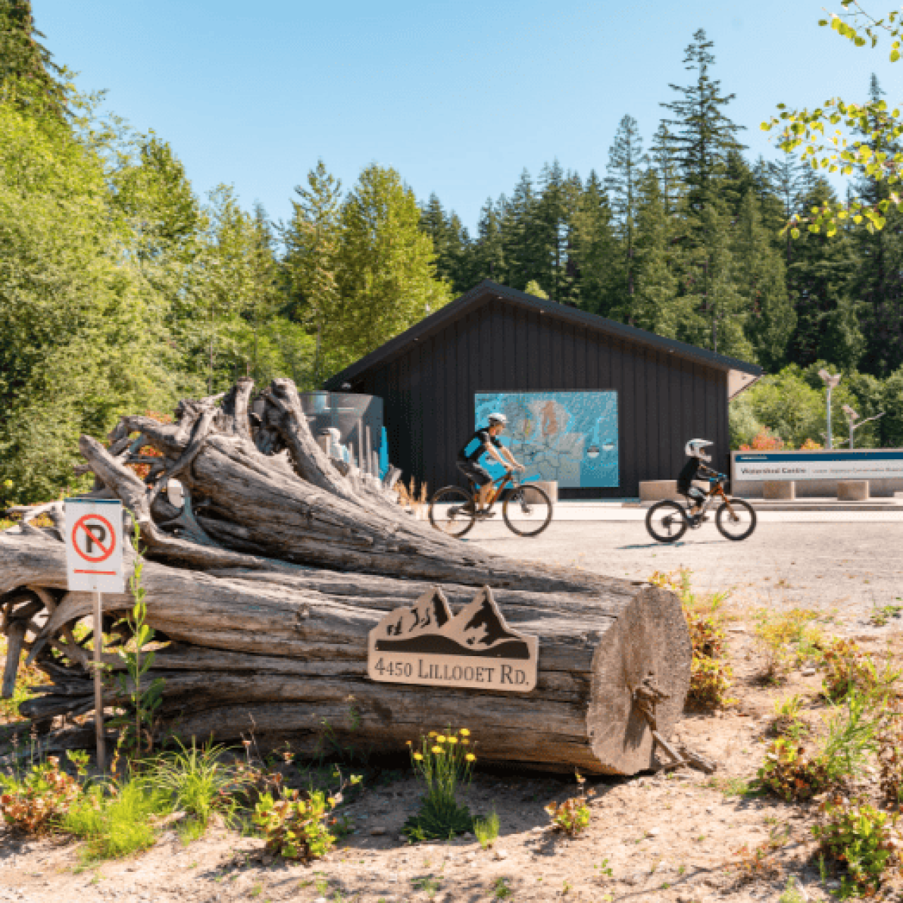 Lynn Valley Life