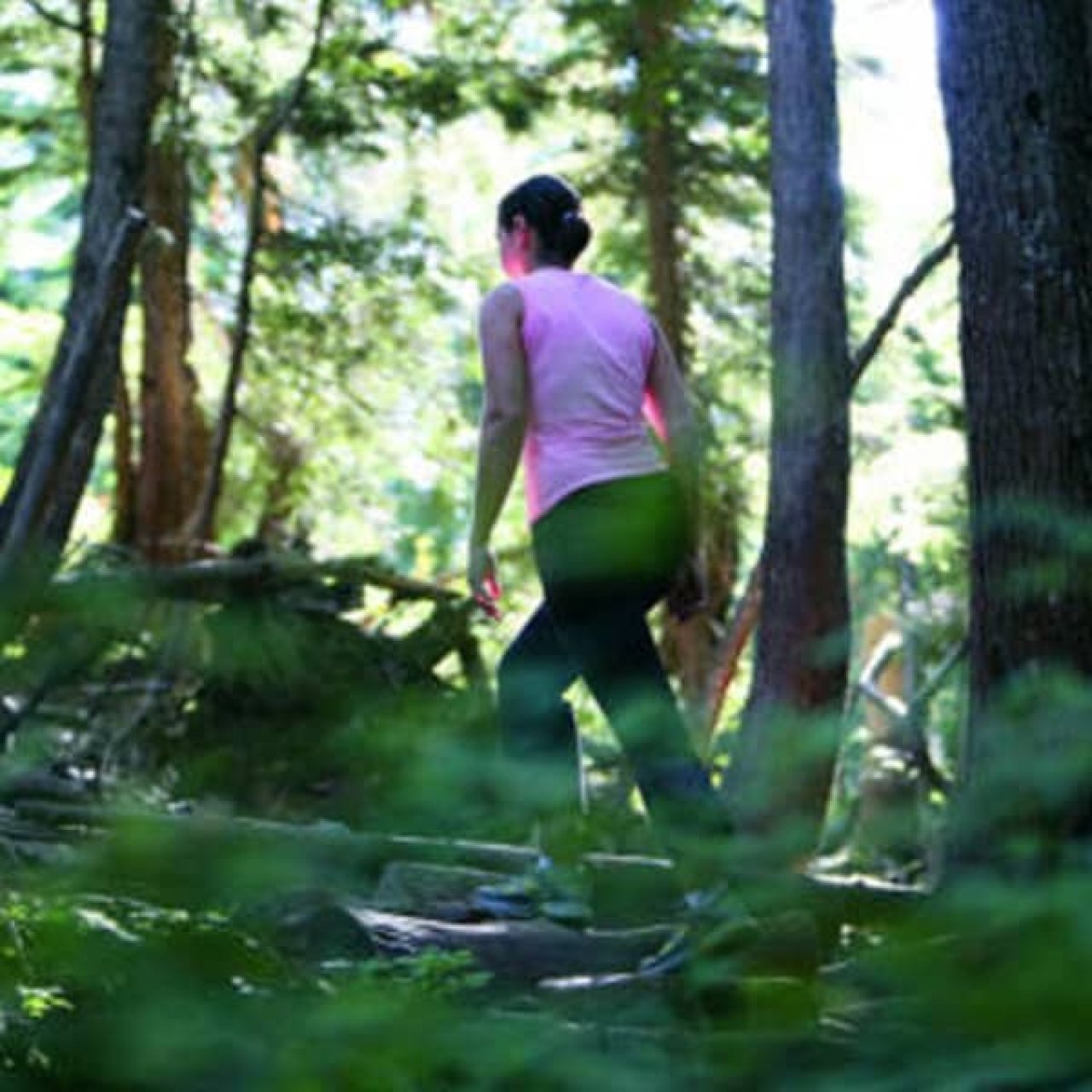 Lynn Valley Life