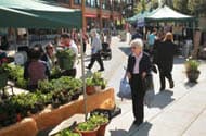 Farmers Market, Lynn Valley