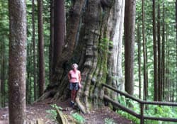 Lynn Valley Headwaters, North Vancouver