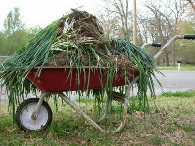 wheelbarrow