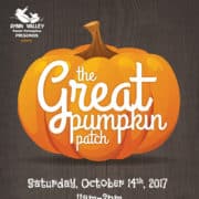 Pumpkin patches to spring up in Lynn Valley!