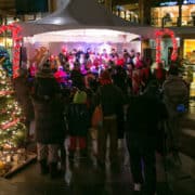 Time to sponsor your LV Village Christmas tree!