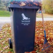 Too many leaves for your bin? Here's what to do