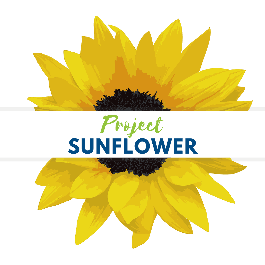 Project Sunflower - LynnValleyLife