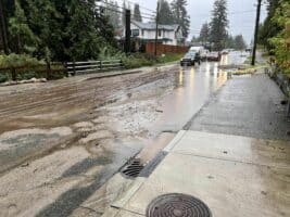 flood waters recede on Fromme Road